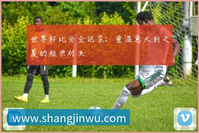 世界杯比分全记录:重温意大利之夏的经典对决