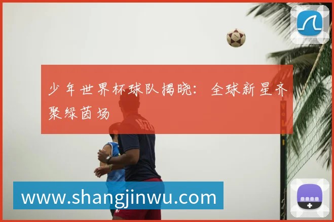 少年世界杯球队揭晓:全球新星齐聚绿茵场