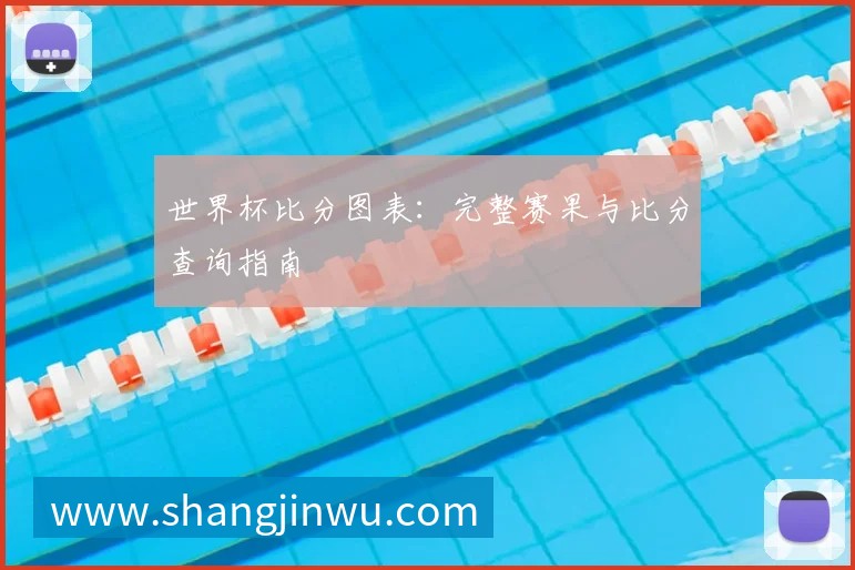 世界杯比分图表:完整赛果与比分查询指南