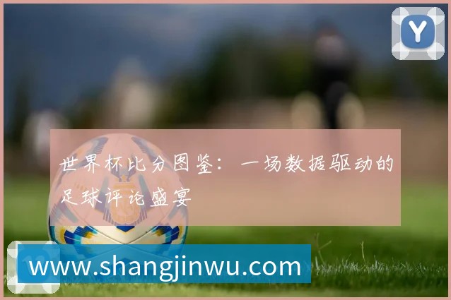 世界杯比分图鉴:一场数据驱动的足球评论盛宴