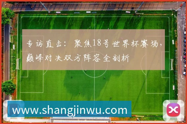 专访直击:聚焦18号世界杯赛场,巅峰对决双方阵容全剖析