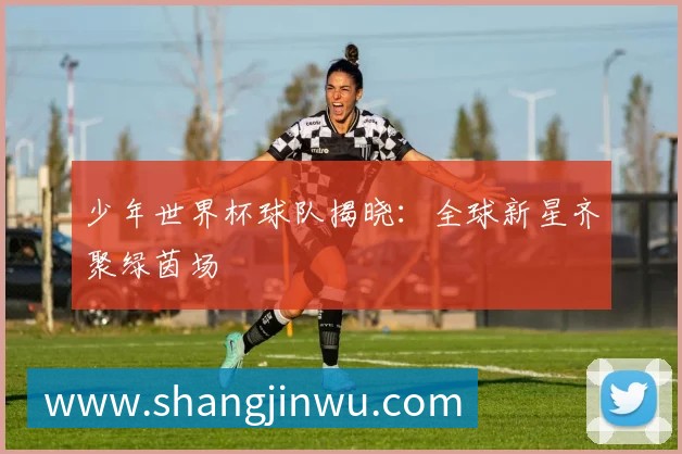 少年世界杯球队揭晓:全球新星齐聚绿茵场