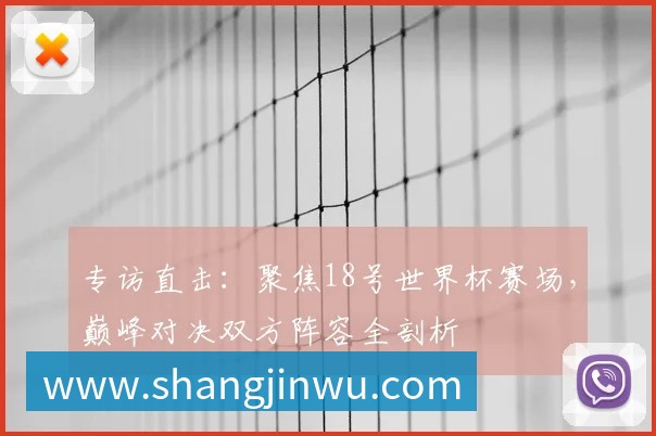 专访直击：聚焦18号世界杯赛场，巅峰对决双方阵容全剖析